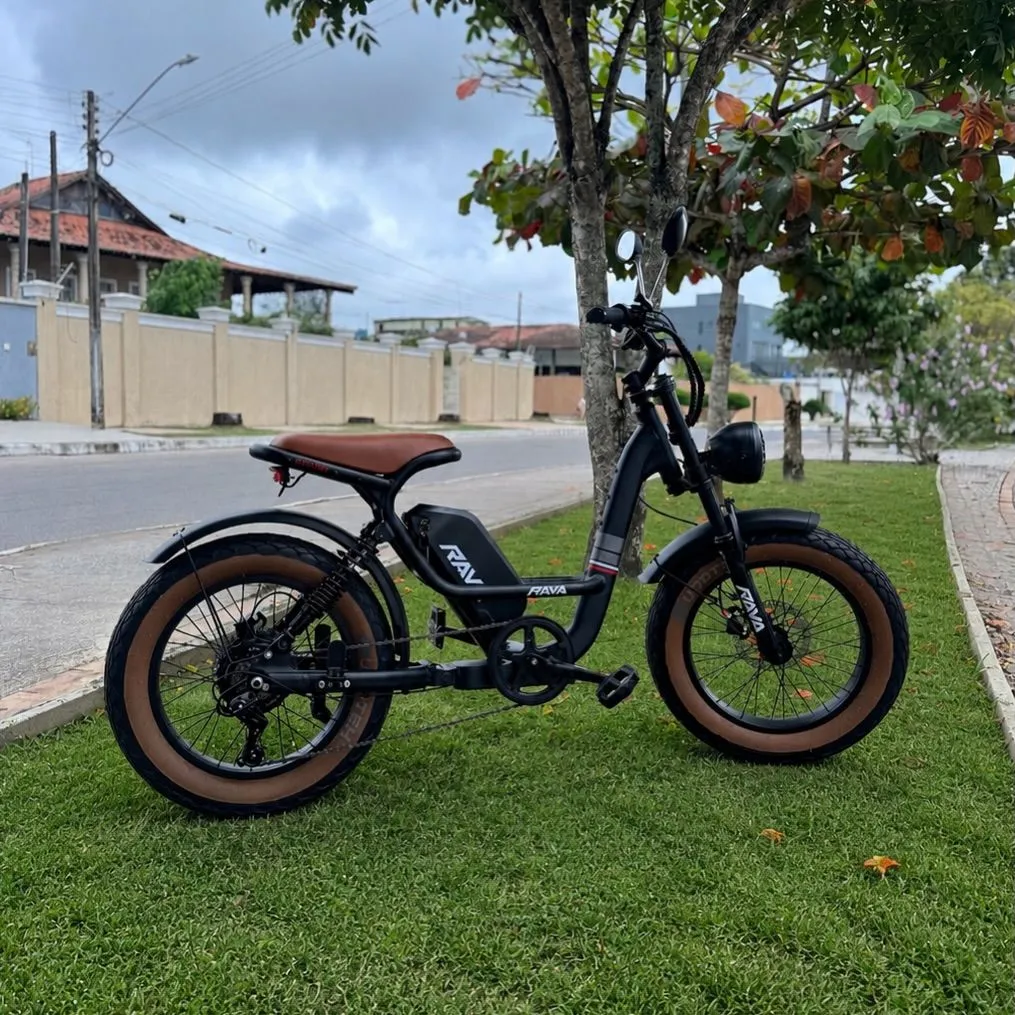 Rava E-Pulse
